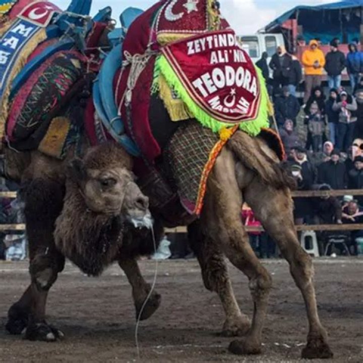 26 Weird Holidays And Bizarre Festivals From Around The World
