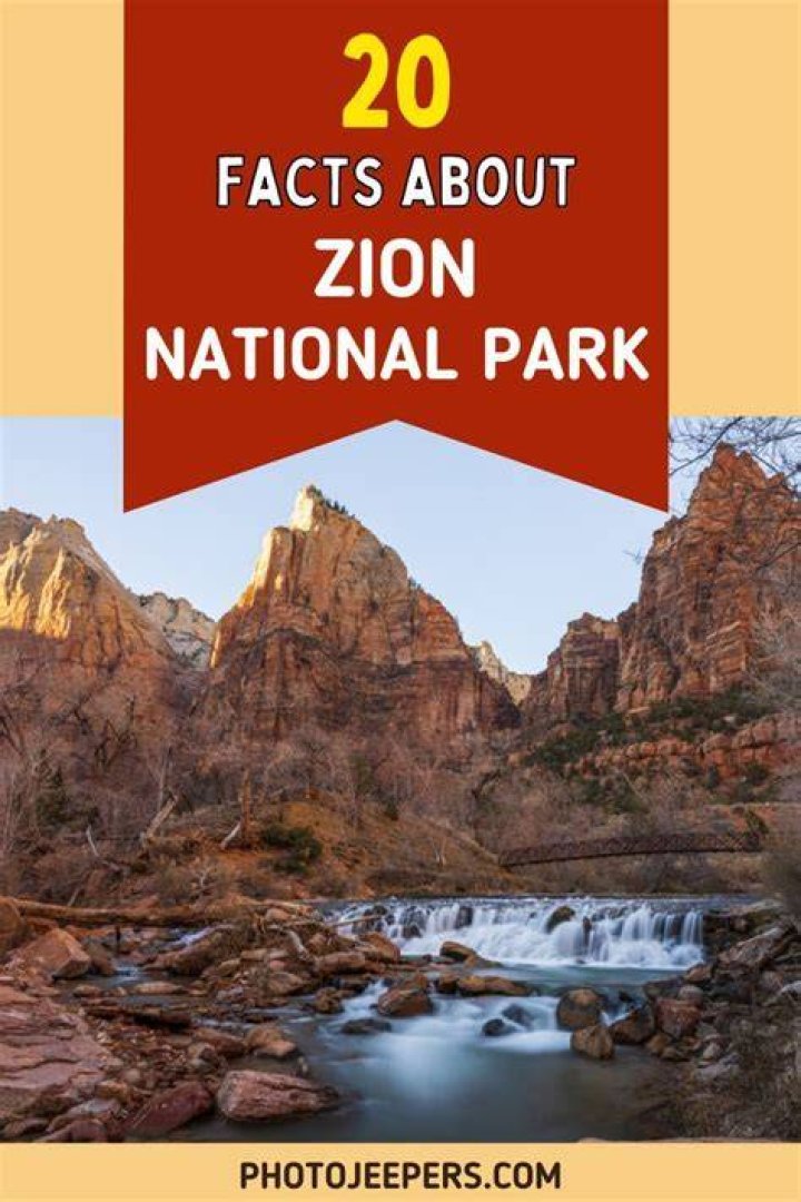 9 Interesting Facts about Zion Broadnax