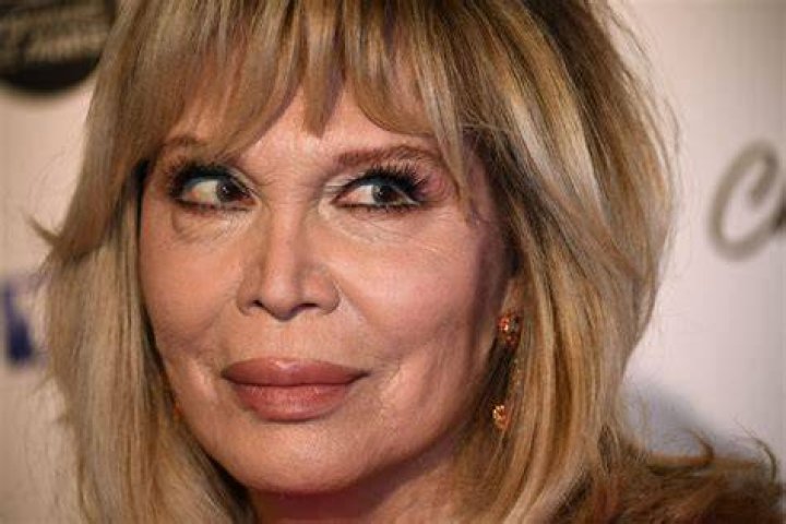 Amanda Lear Biography, Age, Height, Husband, Net Worth, Family