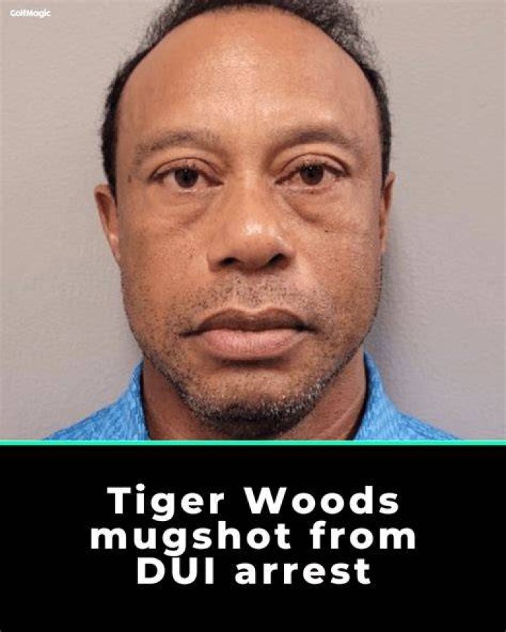 Arrest Of Woods
