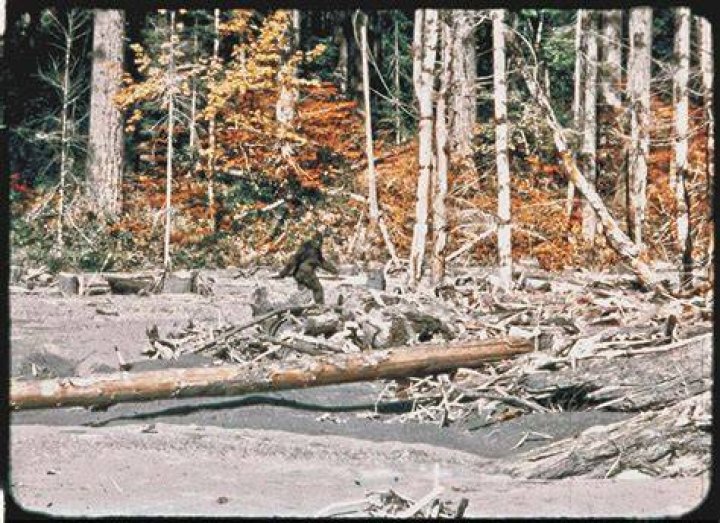 Bigfoot Still