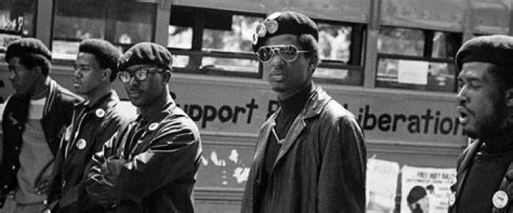 Black Panthers