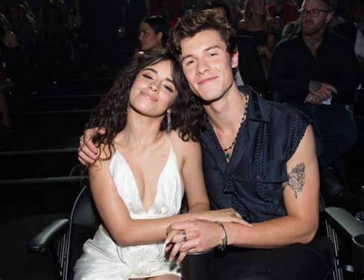 Did Camila Cabello and Shawn Mendes Split? Breakup Rumors