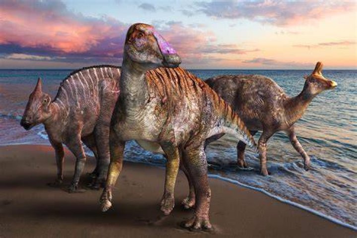 Duck-Billed Dinosaur
