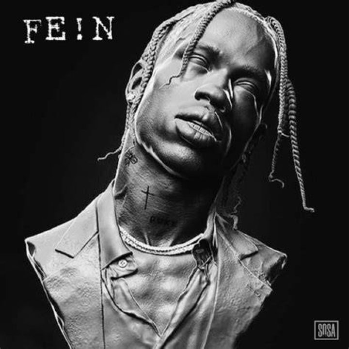 fe!n travis scott