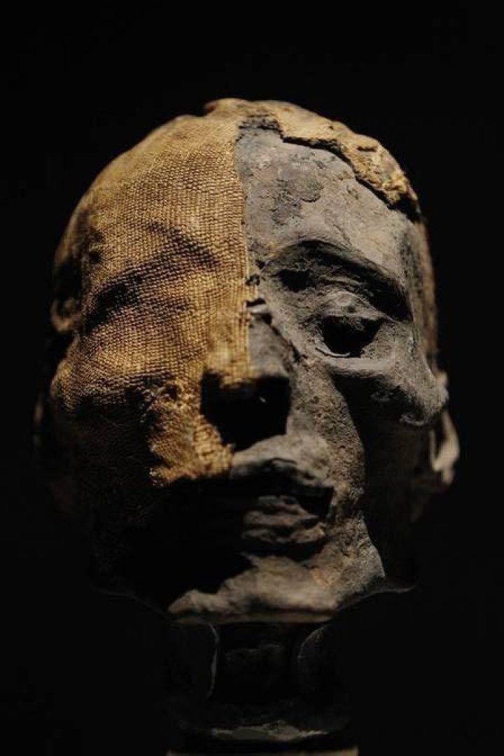 Head Of Turin Mummy