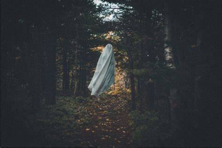 How do the Death Eaters fly without a broom?