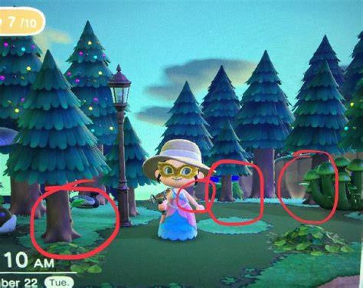How many trees do you need for a 5 Star island?