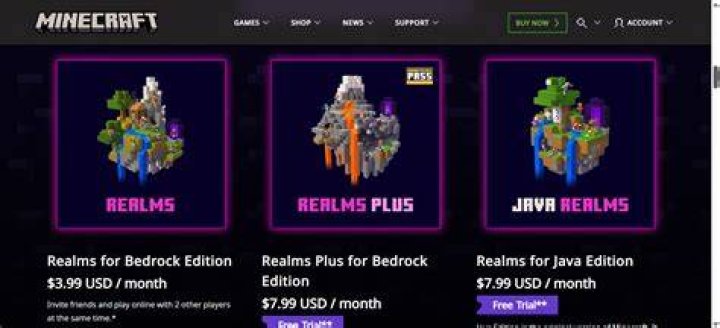 How much does a realm cost