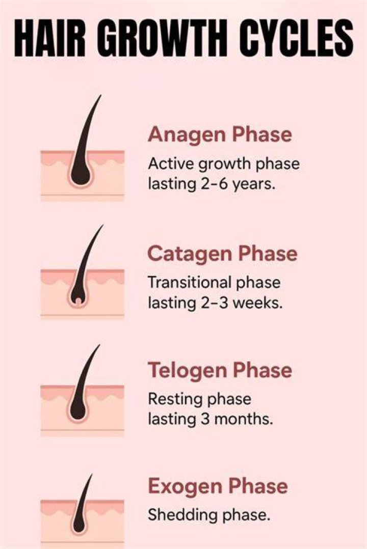 How often to trim hair for maximum growth