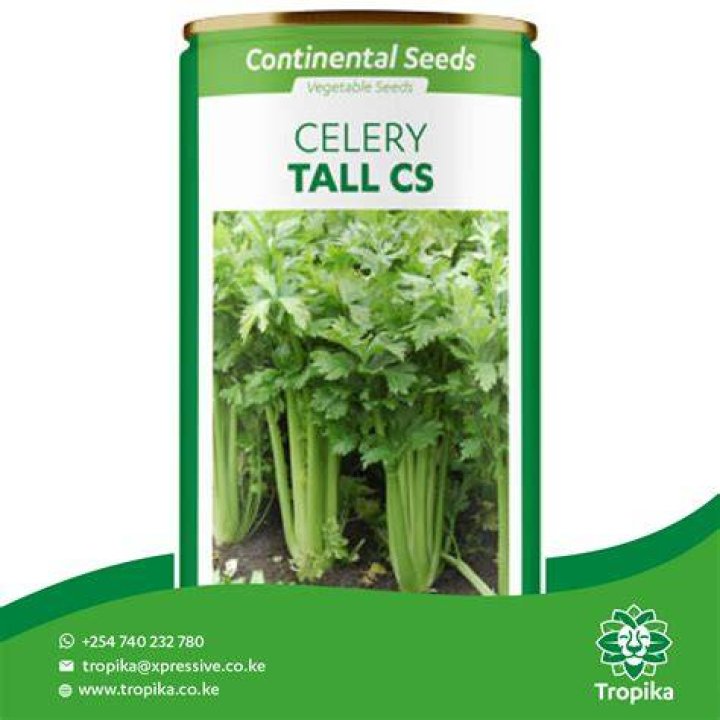 How tall is CS Lee