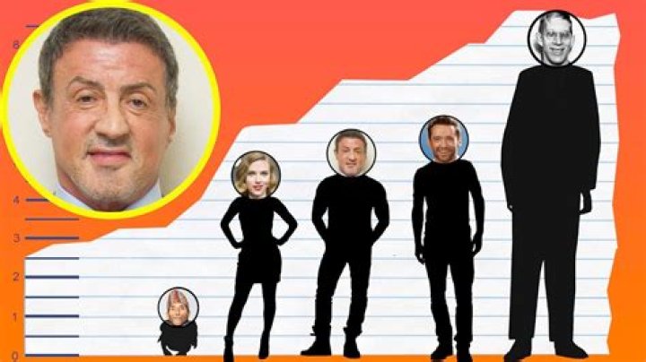 How tall is Sylvester Stallone