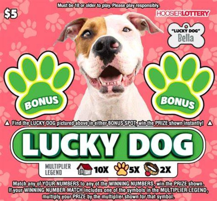 Is Lucky Dog still on tv 2021?
