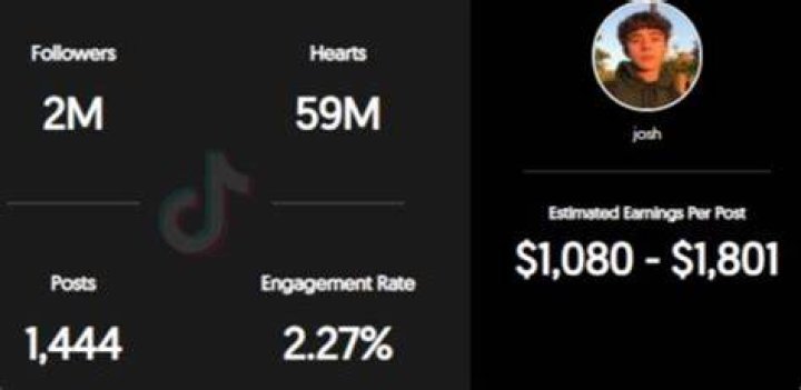 Josh Hewitt TikTok earnings
