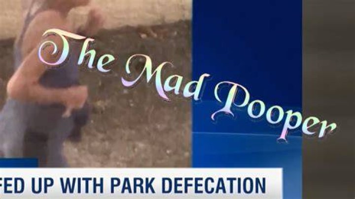 Mad Pooper