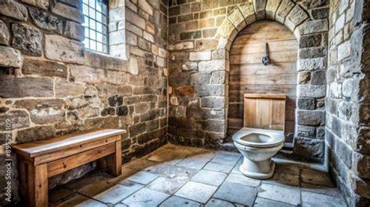 Medieval Toilet And Castle Illustration
