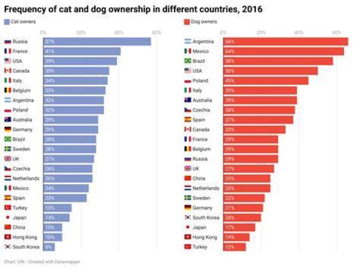 Nearly 100% Of The Country Has A Cat Problem
