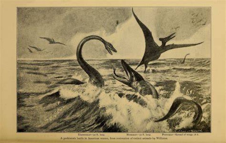 Plesiosaur In Battle