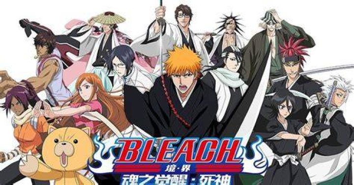 ¿Puedo omitir todos los rellenos en Bleach?