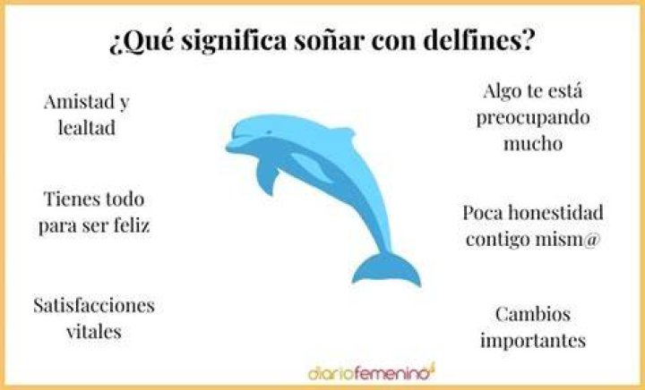 ¿Qué significa tener un delfín Patronus?