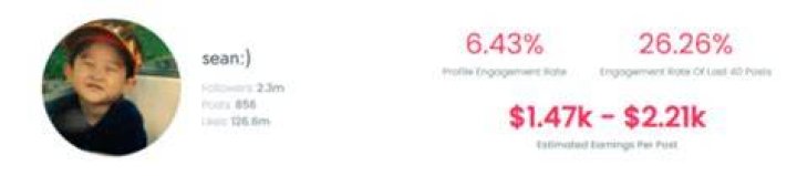 Sean Kwak TikTok earning
