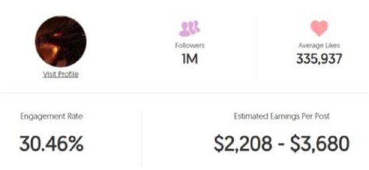 Siglis estimated Instagram earning