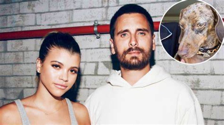 Sofia Richie Posts a Sweet Selfie With Her and Ex Scott Disick's Dog Following Split: 'Madly in Love'