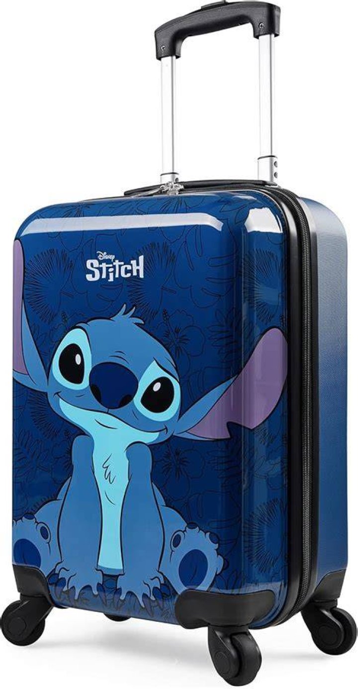 Suitcase And Teenager With Stick