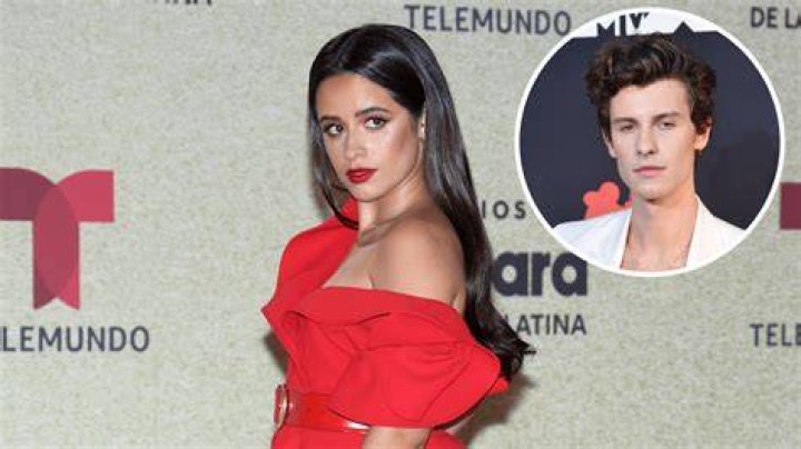 Supportive Mama! Camila Cabello Drinks Wine With Mom Following Shawn Mendes Split: ‘Big Fat Dump’ 