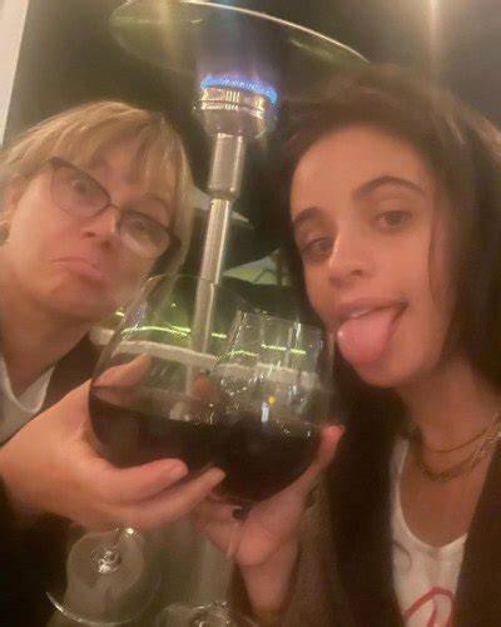 Supportive Mama! Camila Cabello Drinks Wine With Mom Following Shawn Mendes Split: 'Big Fat Dump'&nbsp;