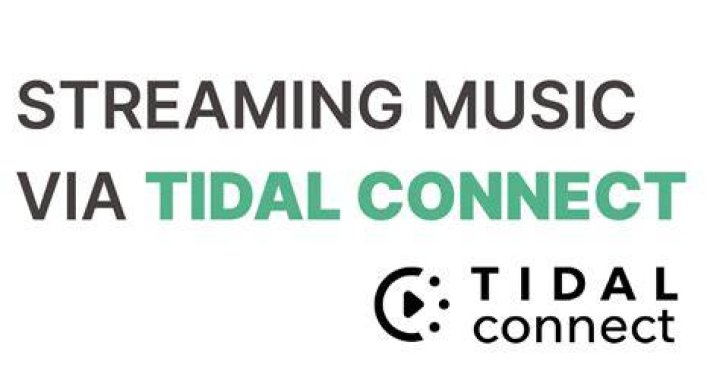 Via TIDAL