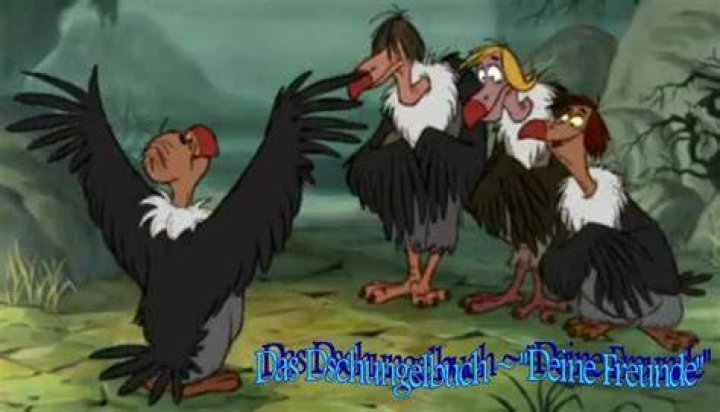 Wer sind die Geier im Dschungelbuch?