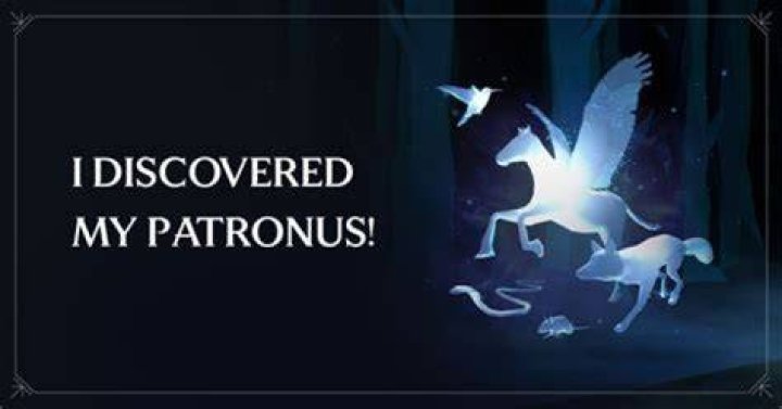 What does a black stallion Patronus mean?