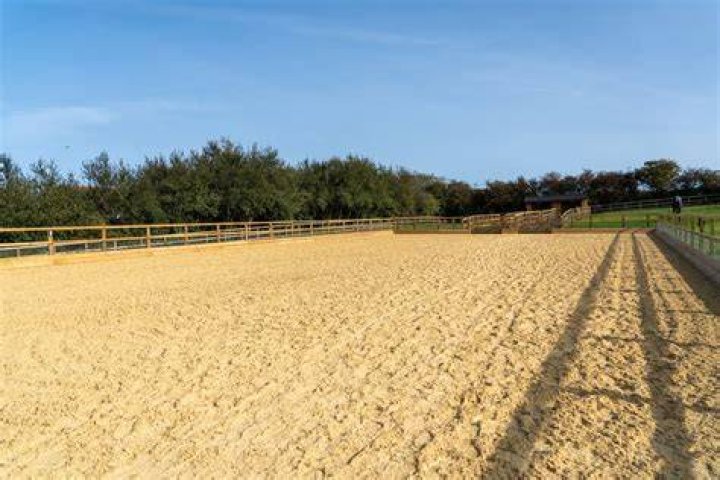 What is the best surface for a horse arena