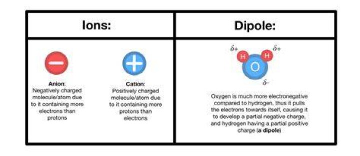 What is the Difference Between Ion Dipole and Dipole Dipole Forces