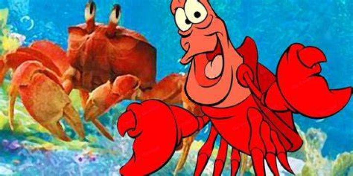 What is the lobster called in Little Mermaid?