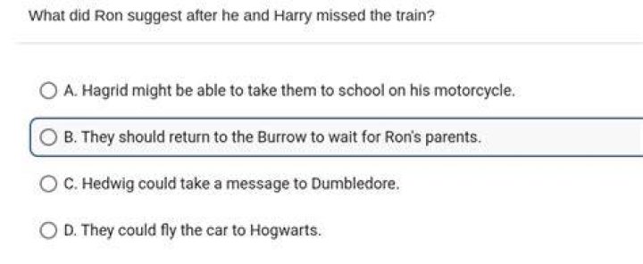 When Ron and Harry missed the train How did they get to Hogwarts?
