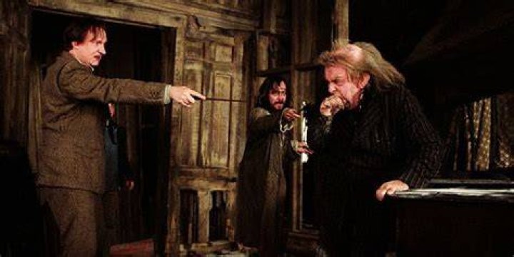 Who are the shapeshifters in Harry Potter?