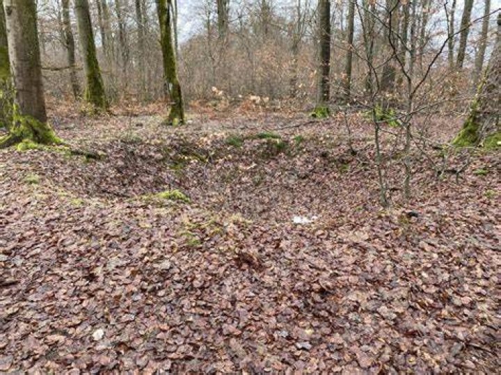 Wolf Pit