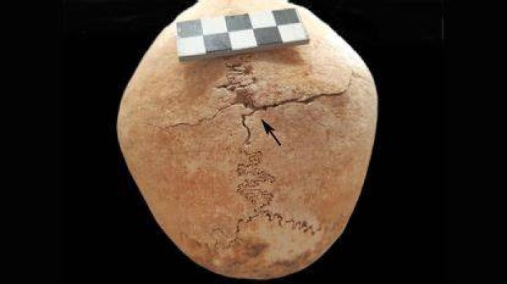 Woman Found Buried Alongside Medieval Spanish Warrior Monks