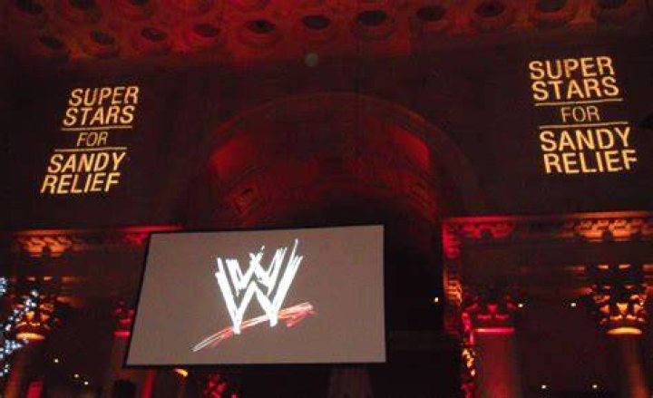 WWE Superstars For Sandy Relief